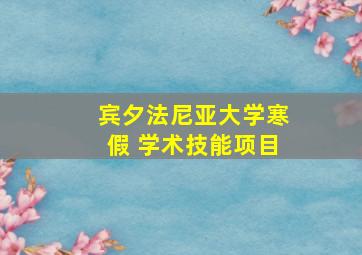 宾夕法尼亚大学寒假 学术技能项目